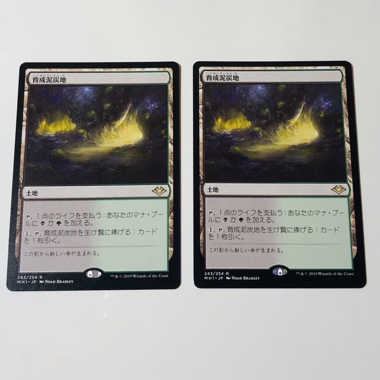 育成泥炭地 日本語版 2枚