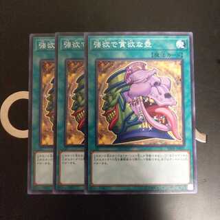 強欲で貪欲な壺　wstorm