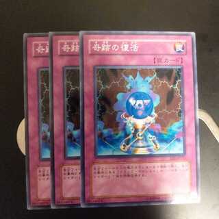 奇跡の復活　wstorm