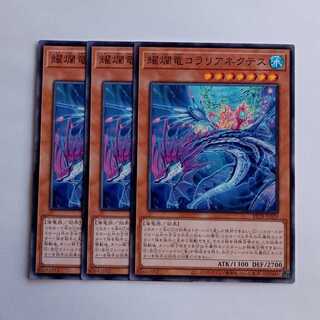 Radiant Dragon Coralia Nectus BETB-JP029 (Set of 3) Yu-Gi-Oh! Trading Card Road 3枚