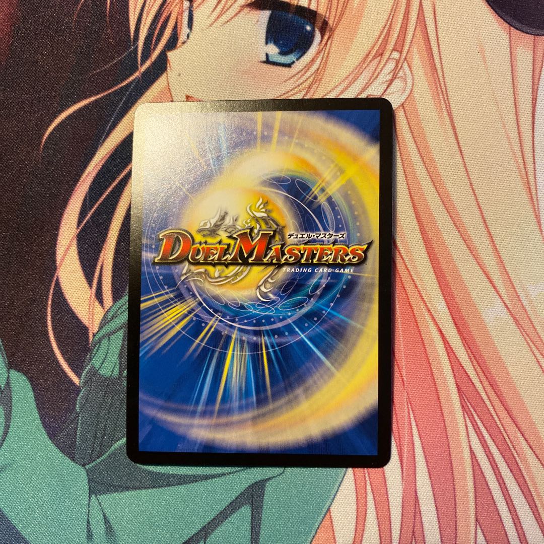 「雷光の聖騎士」