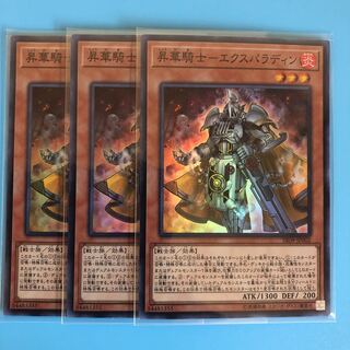 昇華騎士-エクスパラディン ×3【 遊戯王 ・プレイ用】Super