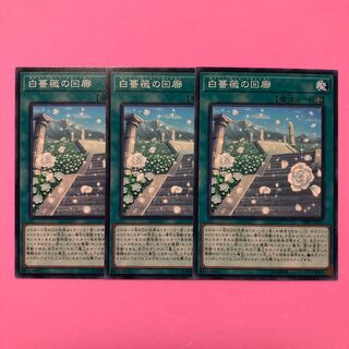 遊戯王 白薔薇の回廊 3枚 ノーマル
