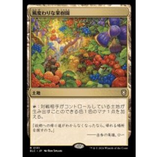 Exotic Orchard/Exotic Orchard (Japanese) [BLC] 1枚