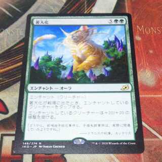 Over 100 exhibits, Colossification, MTG