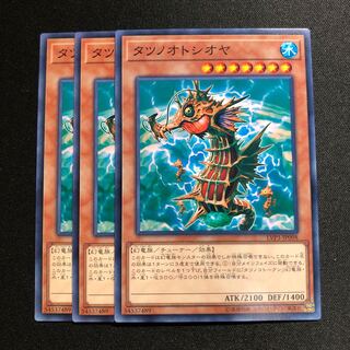 タツノオトシオヤ N