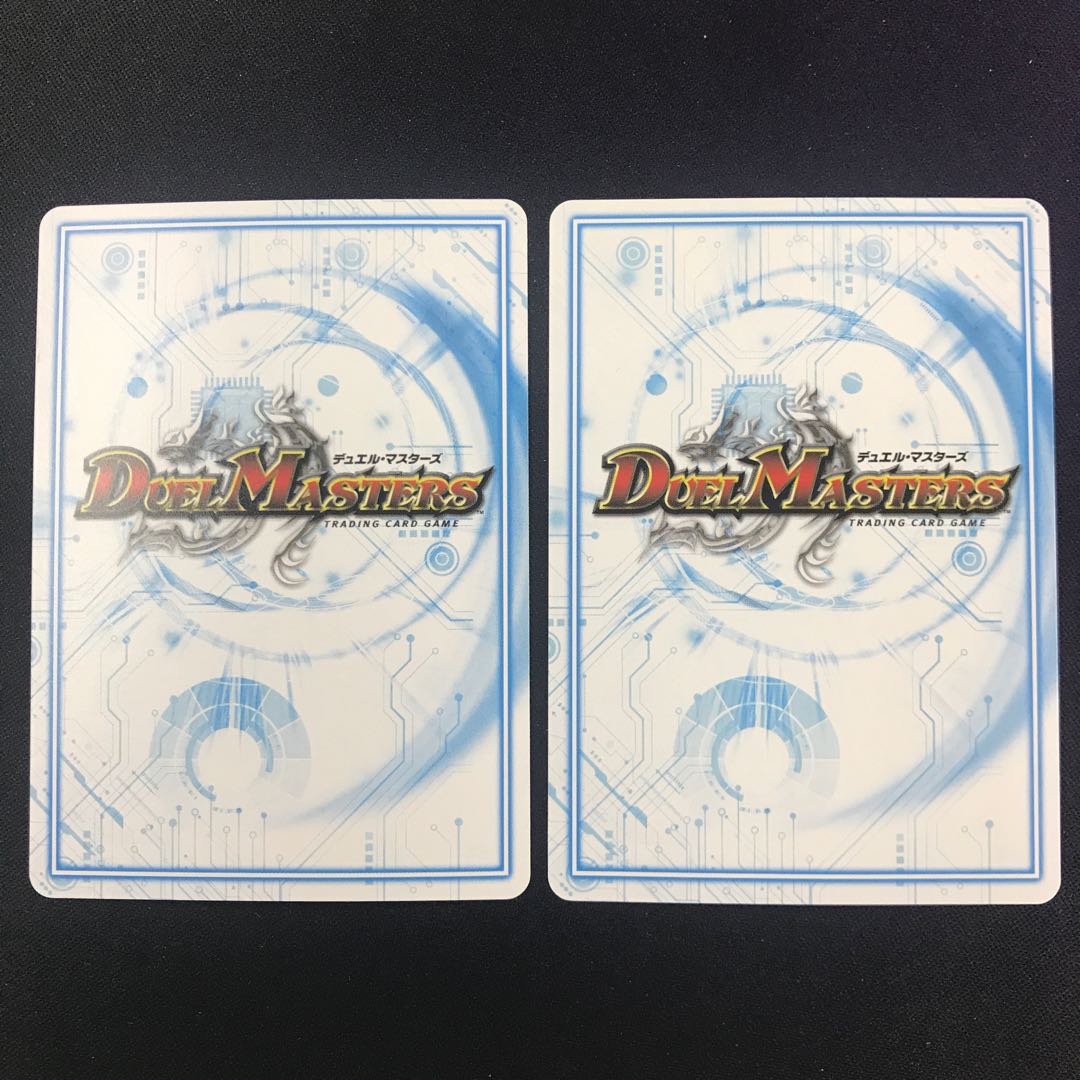 ゴッドガヨンダム 2枚