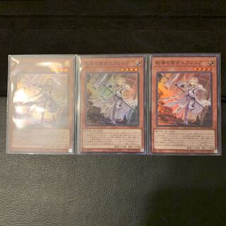 ルーキー様専用教導の聖女エクレシア SR