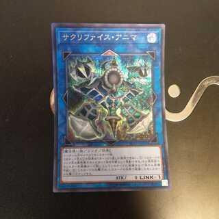 サクリファイス・アニマ　wstorm