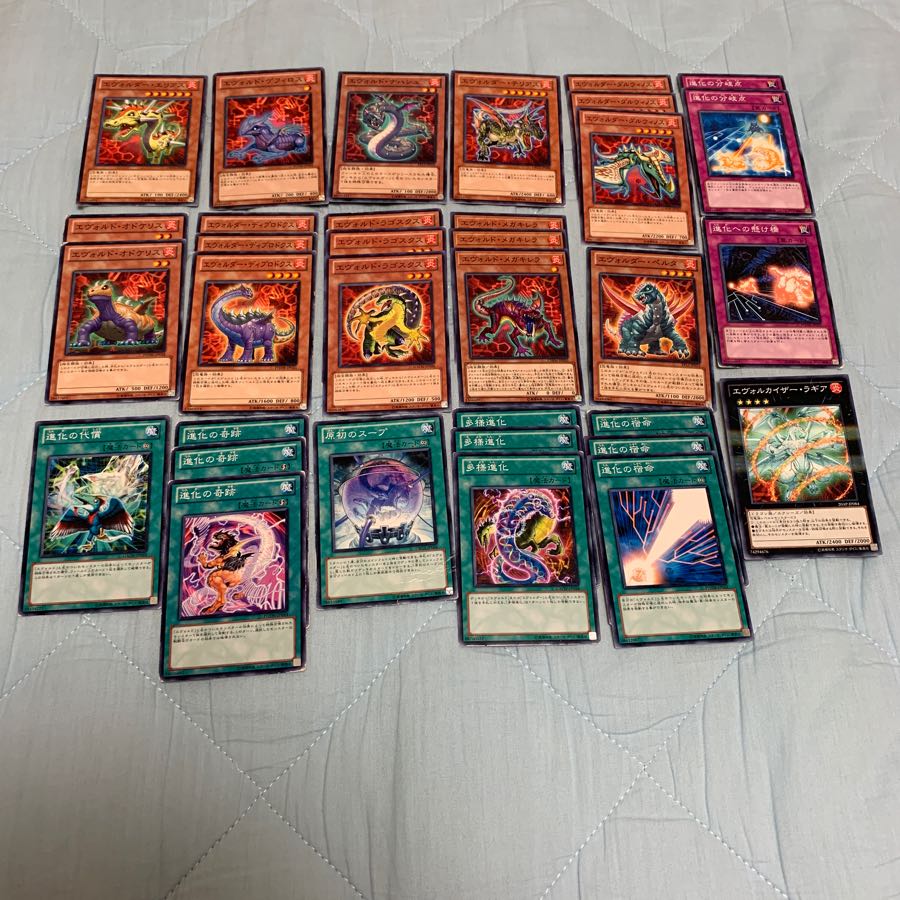 遊戯王 エヴォル パーツ @ms 1枚