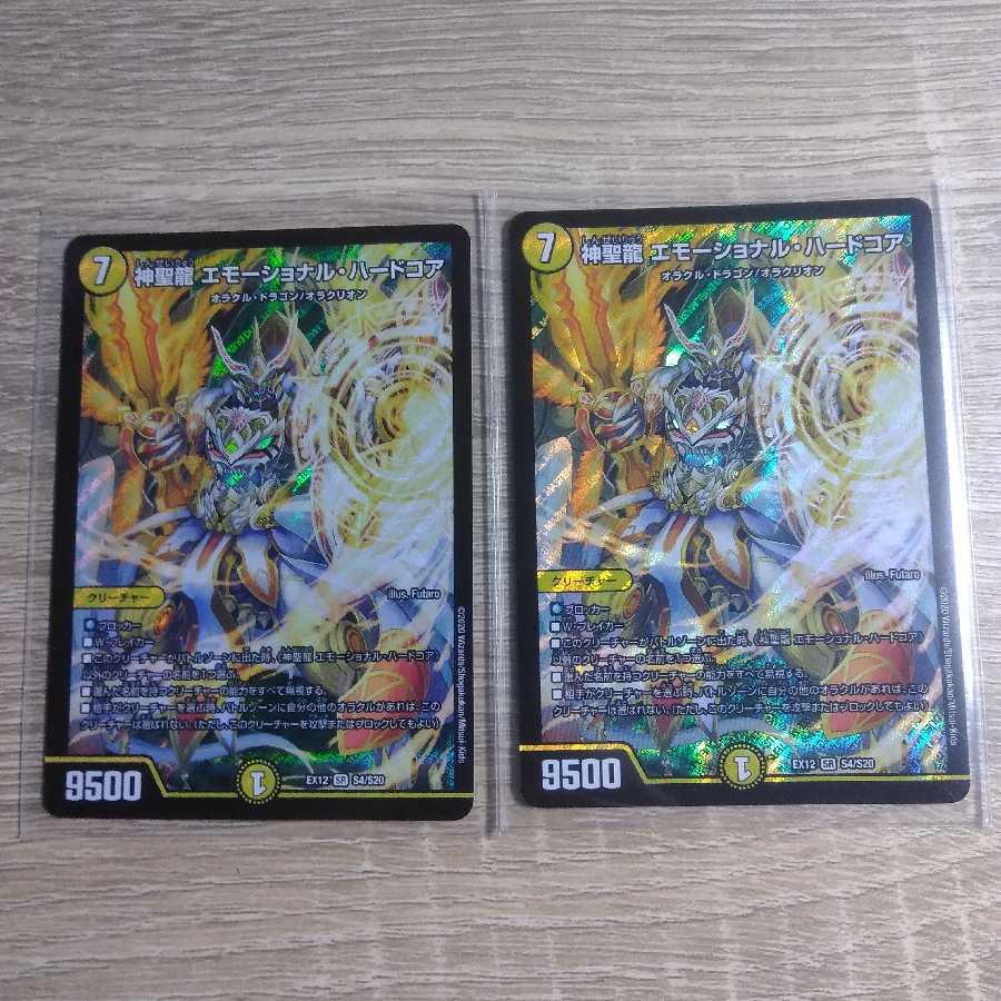 神聖龍 エモーショナル・ハードコア