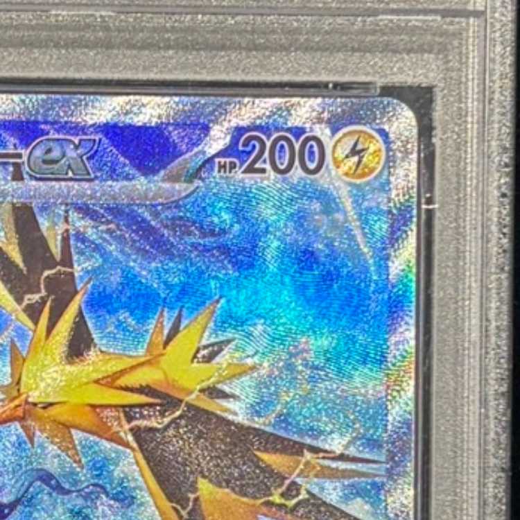 [PSA10] Zapdosex (SAR) {204/165} [SV2a/Pokémon Card 151] [SV] 1枚