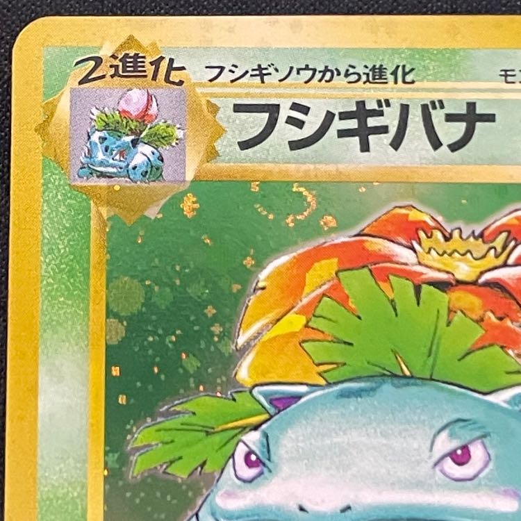 Venusaur (with mark) [Old Back Series 1 / Expansion Pack] [Old Back] 1枚