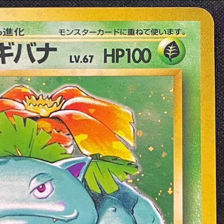 Venusaur (with mark) [Old Back Series 1 / Expansion Pack] [Old Back] 1枚