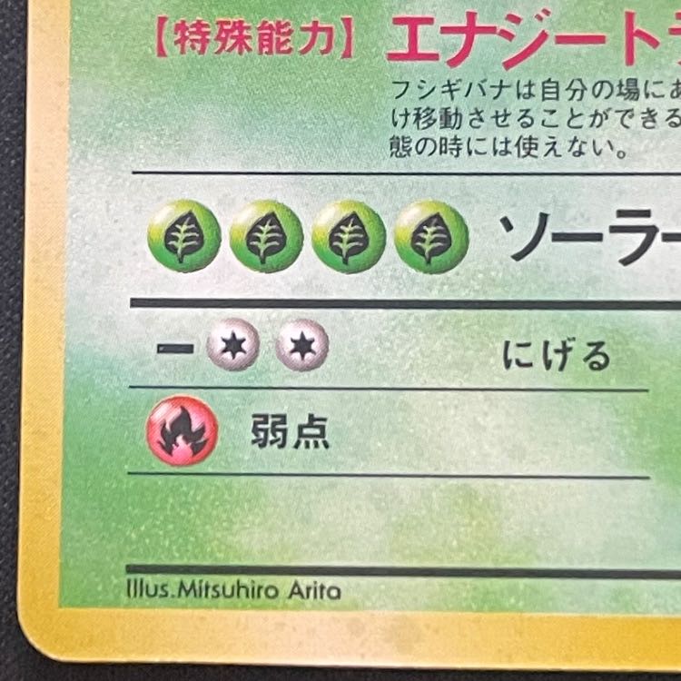 Venusaur (with mark) [Old Back Series 1 / Expansion Pack] [Old Back] 1枚