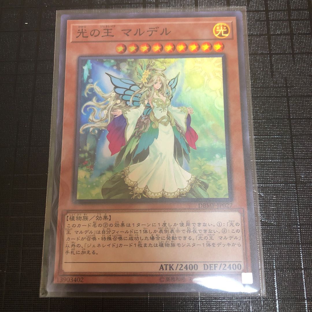 光の王 マルデル