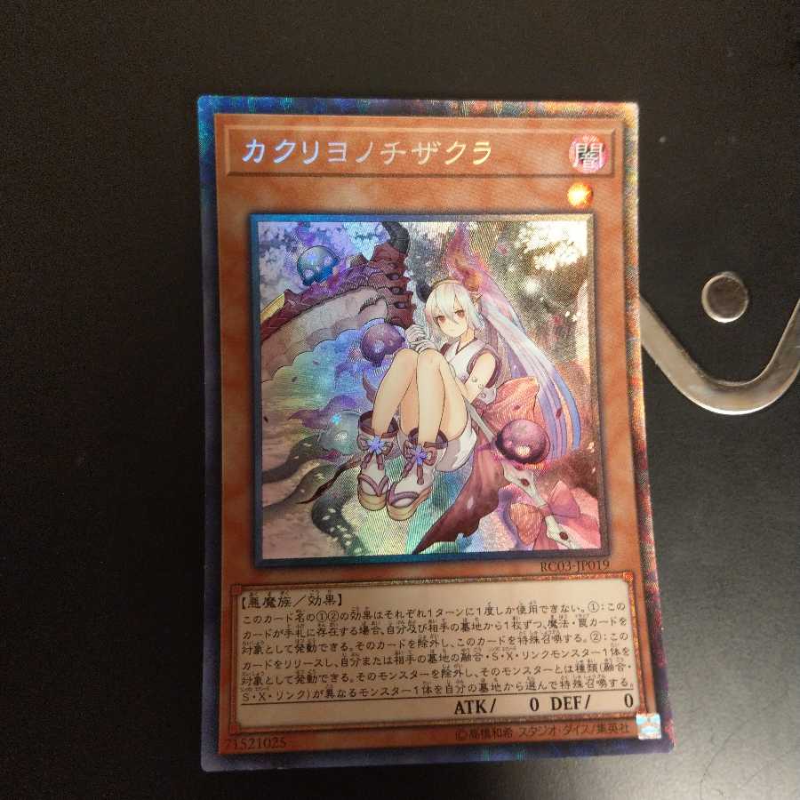 カクリヨノチザクラ CR　wstorm