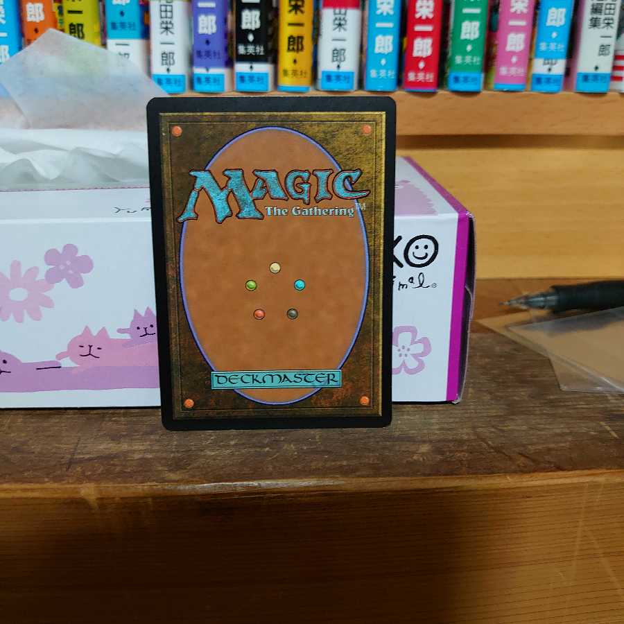 permanent様専用  師範の占い独楽(英)