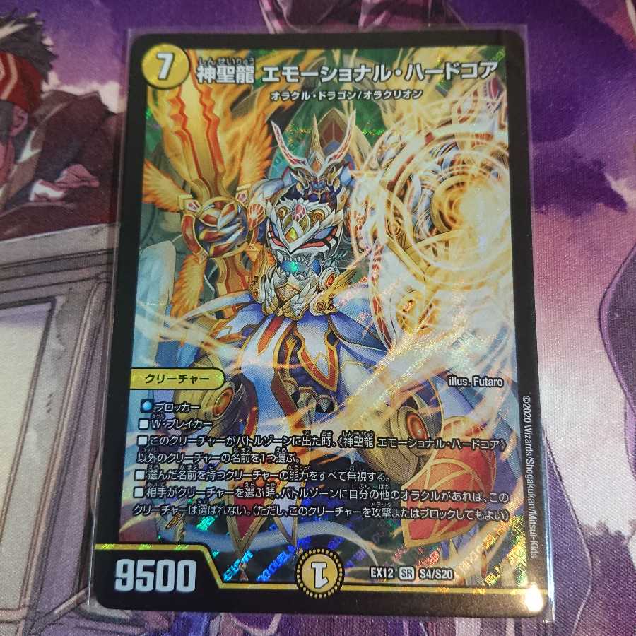 神聖龍 エモーショナル・ハードコア