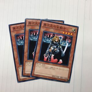 異次元の女戦士