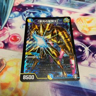 「雷光の聖騎士」　ライトニングソードパラディン