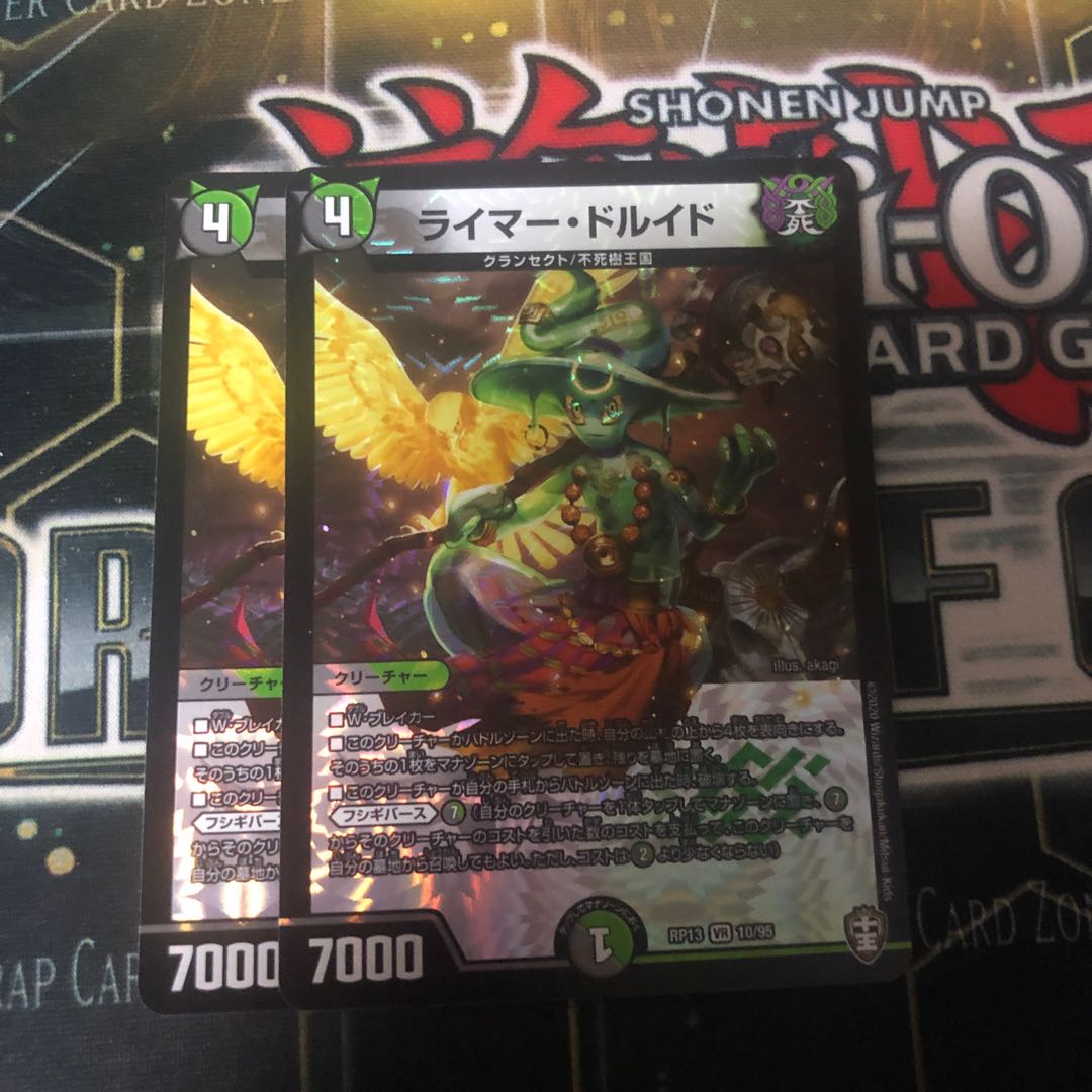 ライマー・ドルイド VR