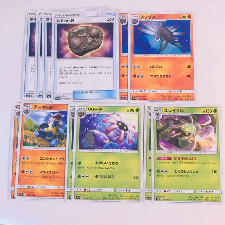 なぞの化石セット