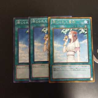 禁じられた聖杯　wstorm