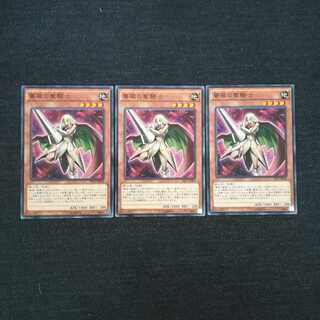 ☆薔薇の聖騎士（ローズ・パラディン）【N】3枚