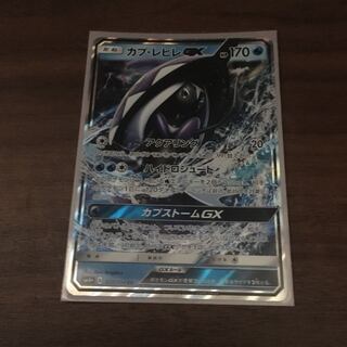 カプ・レヒレgX