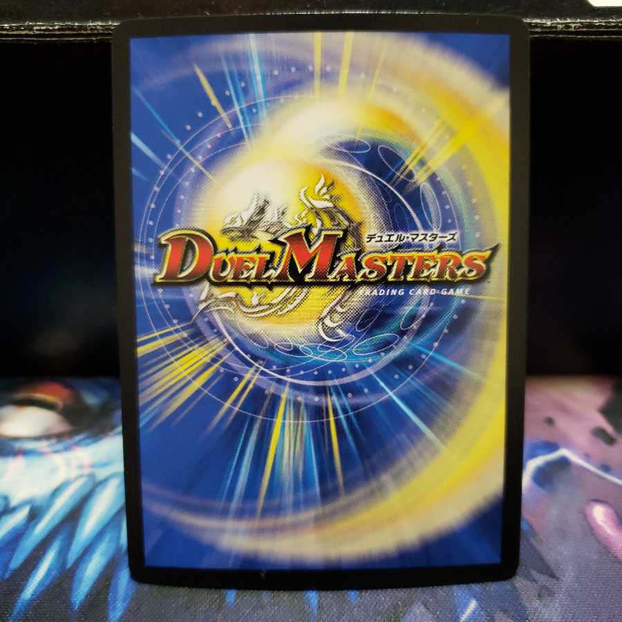 「絶対の楯騎士」