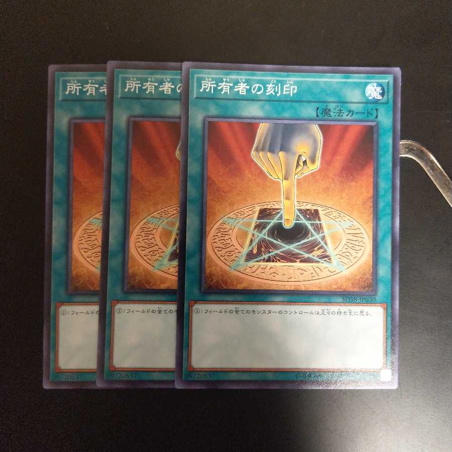 所有者の刻印 wstorm