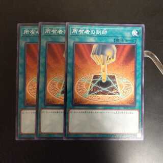 所有者の刻印　wstorm