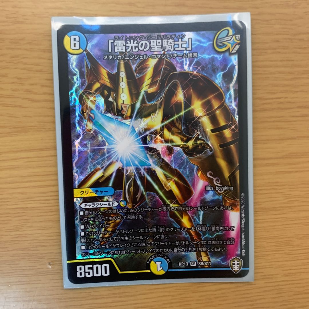 「雷光の聖騎士」