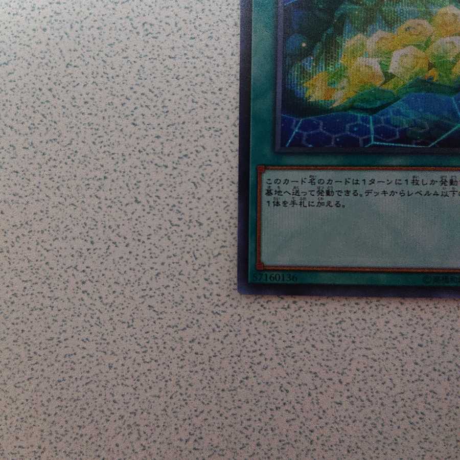 サイバネット・マイニング SE