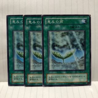 恵みの雨　N ノーマル　3枚　マホ子