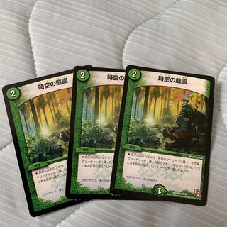 時空の庭園 『kotaro様 専用』