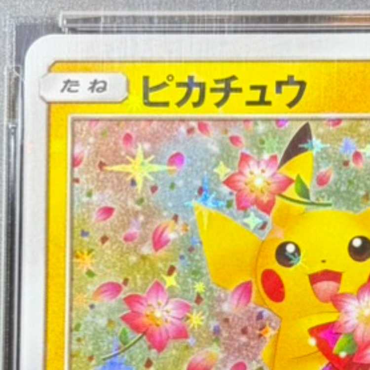 【PSA10】ピカチュウ PROMO 224/SM-P 1枚