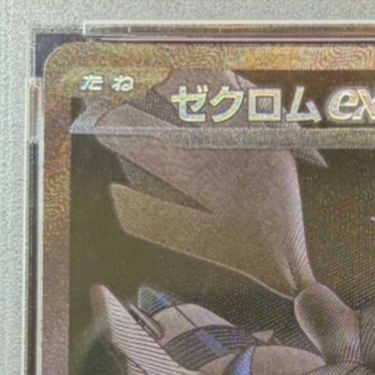 【PSA10】ゼクロムex BWR 174/086 1枚