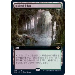 [EX+](フルアート)新緑の地下墓地/Verdant Catacombs《日本語》【MH2】 1枚