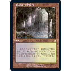 [EX+](旧枠仕様)新緑の地下墓地/Verdant Catacombs《日本語》【MH2】 1枚
