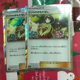 エリカのおもてなし 二枚セット