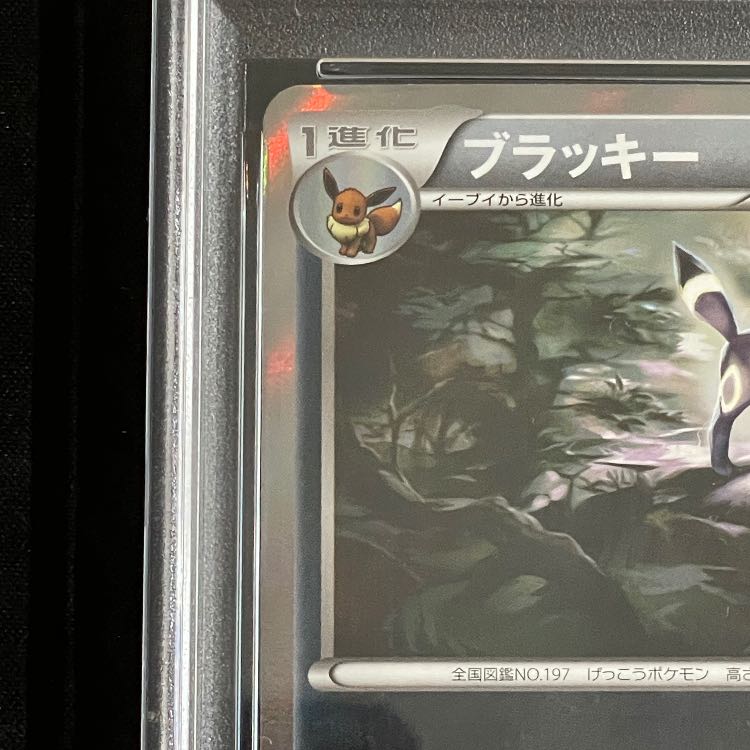 【PSA10】ブラッキー ナイトバトル プロモ PROMO 140/XY-P 1枚