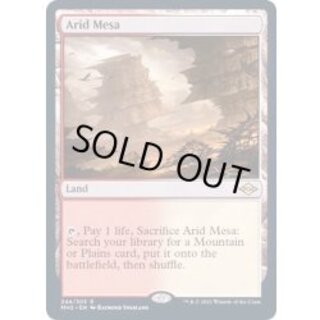 [EX](FOIL)乾燥台地/Arid Mesa《英語》【MH2】 1