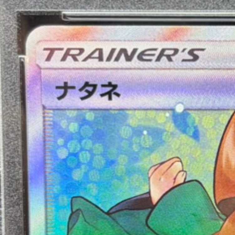 【PSA10】ナタネ SR 070/066 1枚