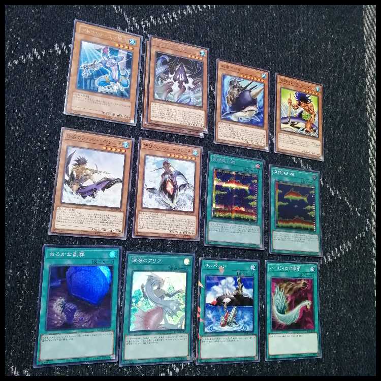 遊戯王　デッキ　クラゲ　海　リヴァイアサン　ファーストペンギン　[05191] 1枚