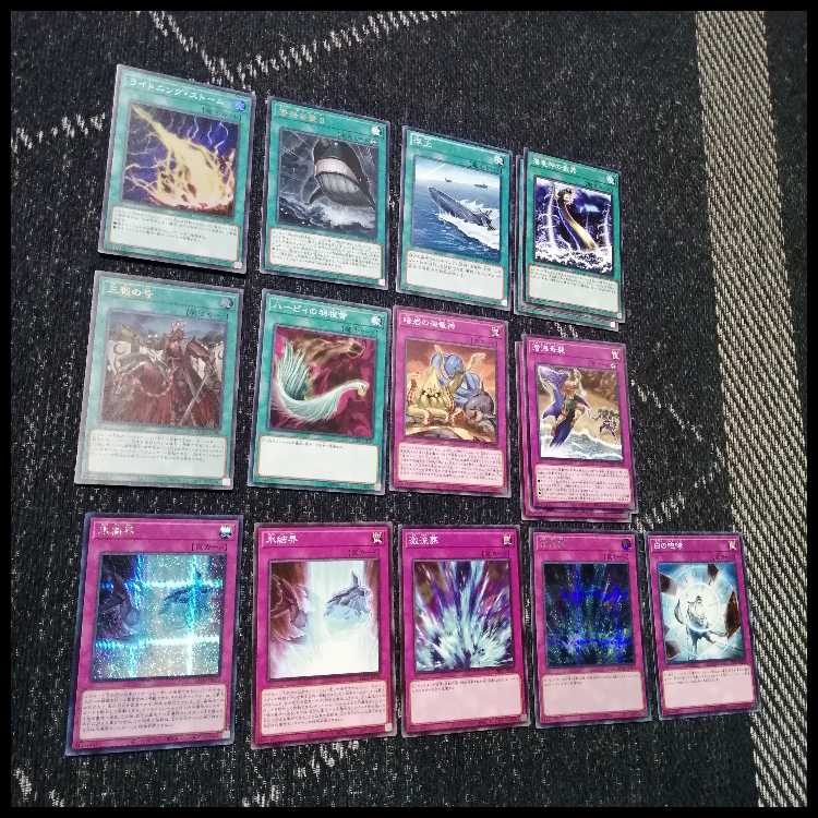 遊戯王　デッキ　クラゲ　海　リヴァイアサン　ファーストペンギン　[05194] 1枚