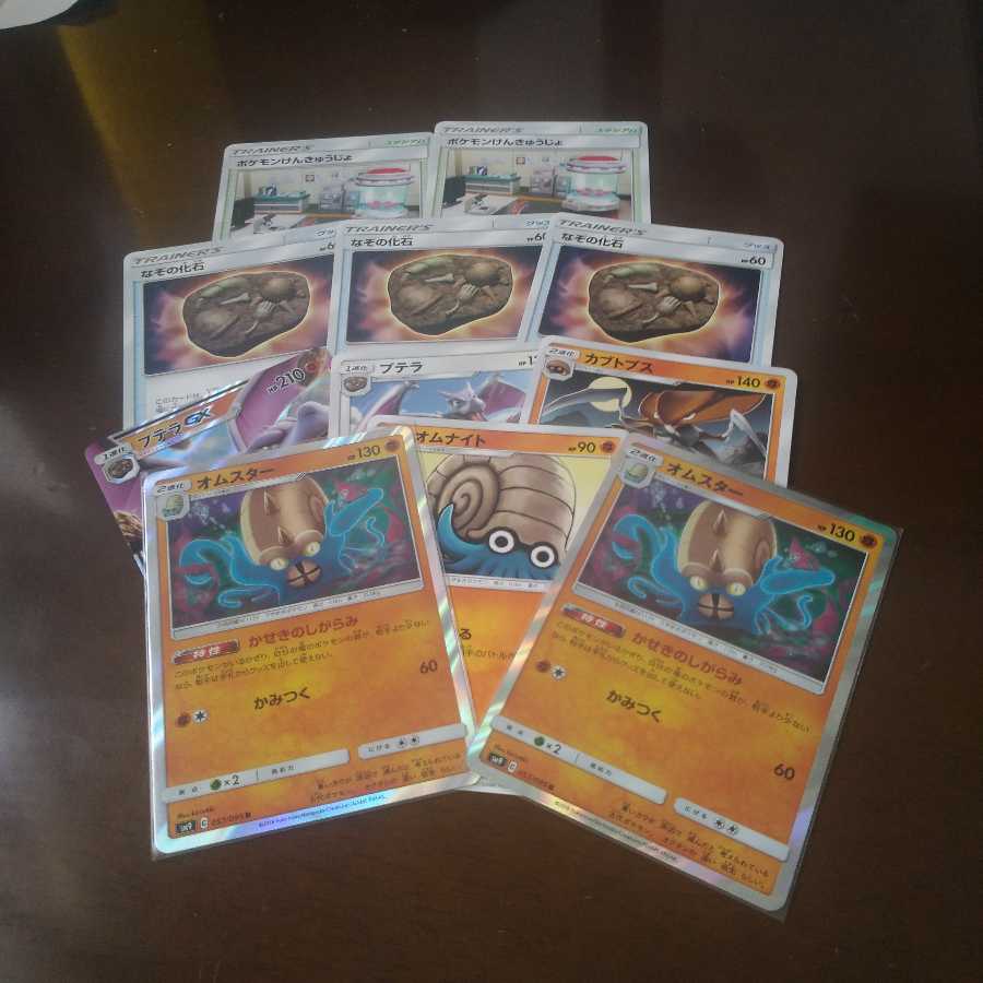 なぞの化石セット