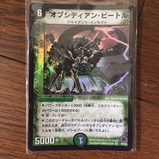 オブシディアンビートル