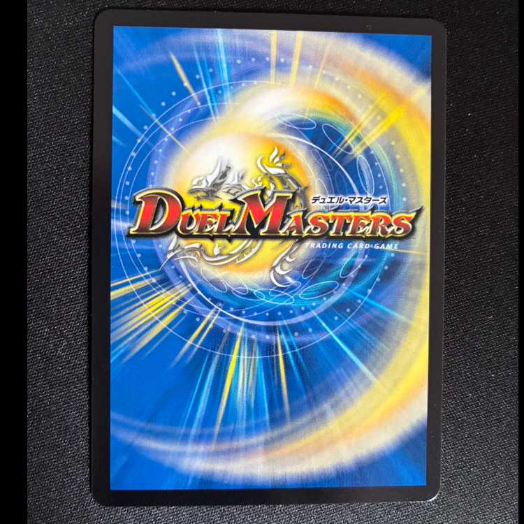 ##12 Discalce Donny VR 11/95  1枚
